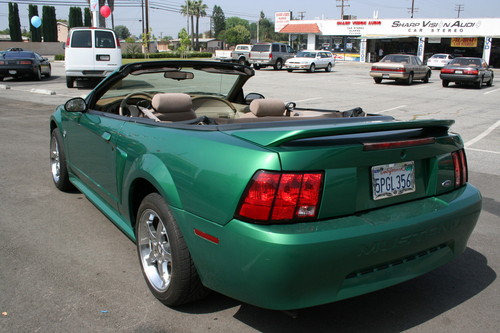 Image 4 of 1999 Mustang Coupe Green